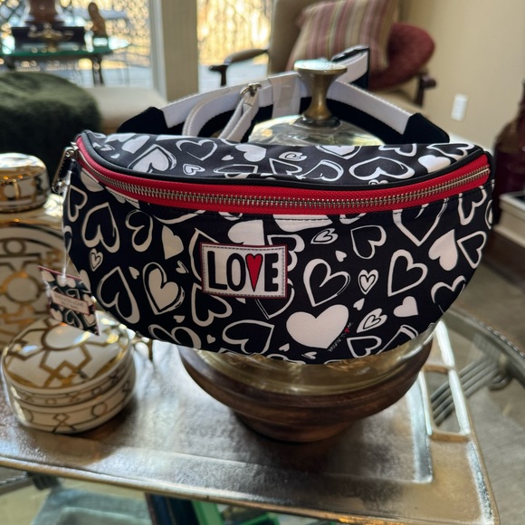 BRIGHTON BELTED BAG - Picture 4 of 11